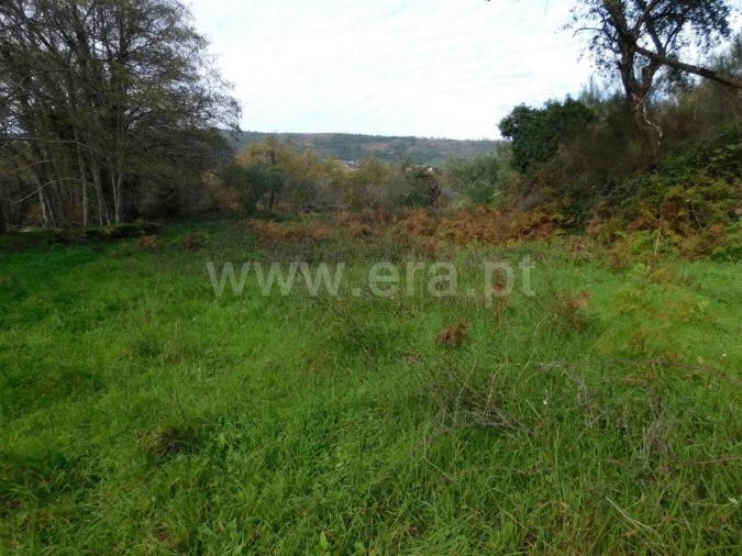 Quinta T0 para Venda em Vale de Prazeres e Mata da Rainha Foto 2