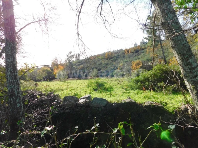 Quinta T0 para Venda em Vale de Prazeres e Mata da Rainha Foto 6