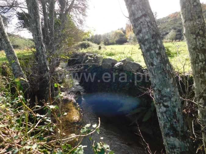 Quinta T0 para Venda em Vale de Prazeres e Mata da Rainha Foto 5