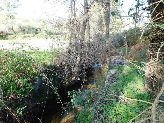 Quinta T0 para Venda em Vale de Prazeres e Mata da Rainha Foto 7