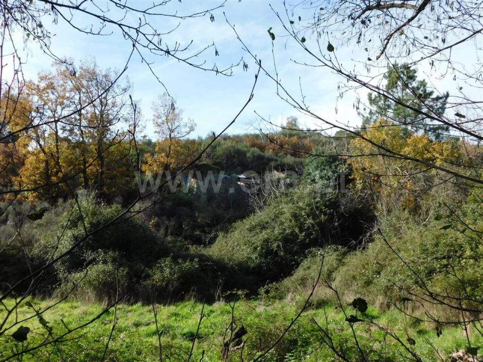 Quinta T0 para Venda em Vale de Prazeres e Mata da Rainha Foto 10