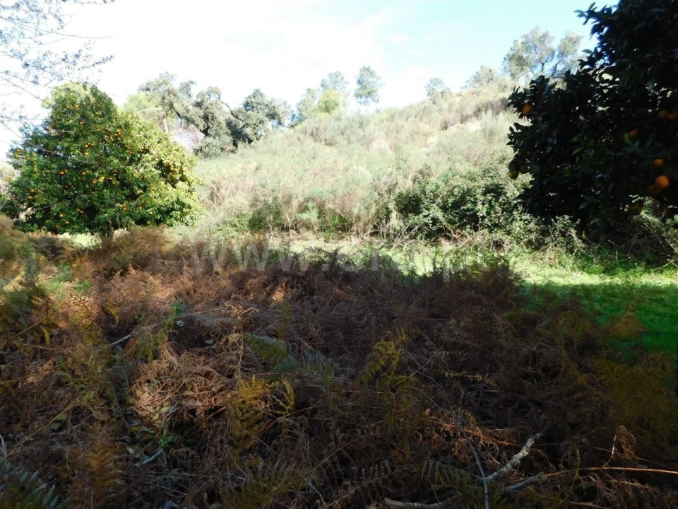 Quinta T0 para Venda em Vale de Prazeres e Mata da Rainha Foto 8