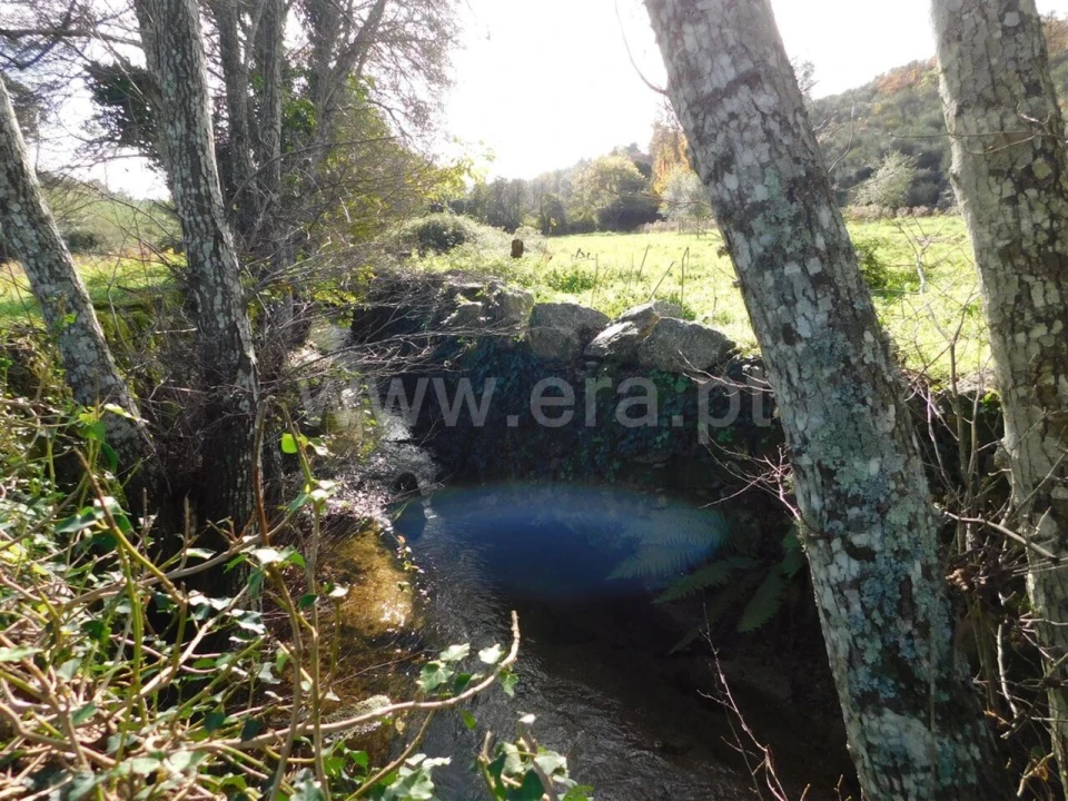 Quinta T0 para Venda em Vale de Prazeres e Mata da Rainha Foto 5
