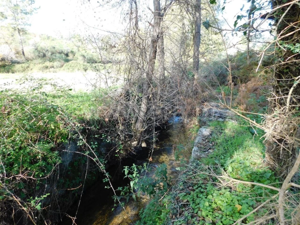 Quinta T0 para Venda em Vale de Prazeres e Mata da Rainha Foto 7