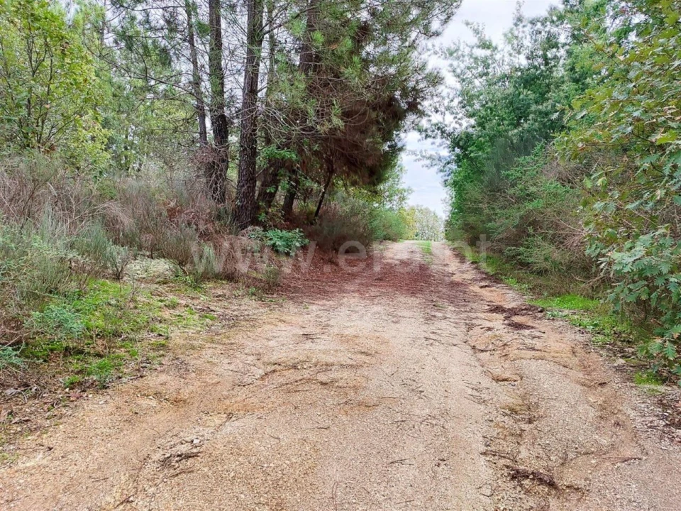 Terreno para Venda em Póvoa de Atalaia e Atalaia do Campo Foto 13