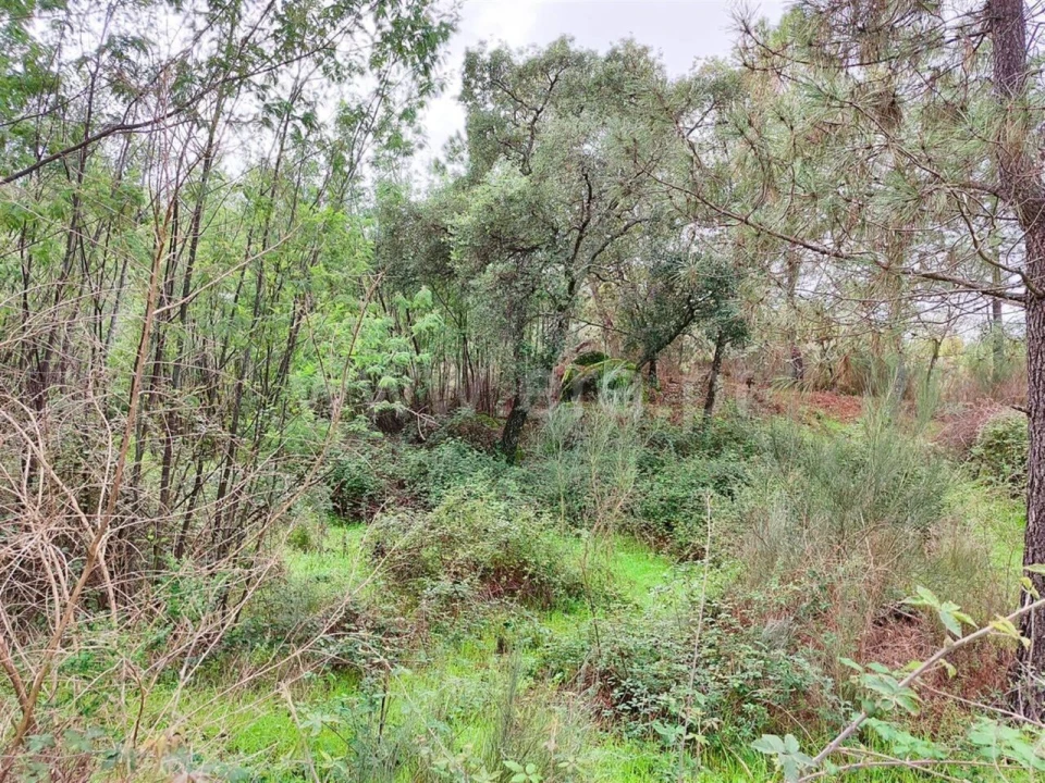 Terreno para Venda em Póvoa de Atalaia e Atalaia do Campo Foto 3