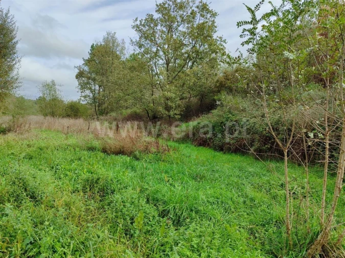 Terreno para Venda em Póvoa de Atalaia e Atalaia do Campo Foto 9