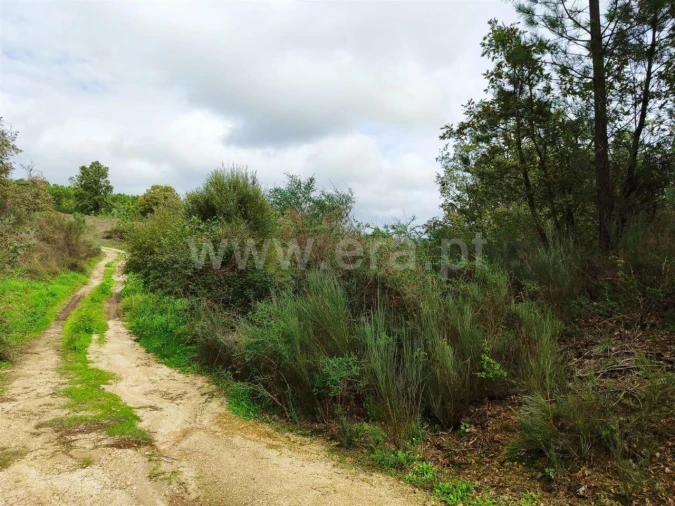 Terreno para Venda em Póvoa de Atalaia e Atalaia do Campo Foto 14