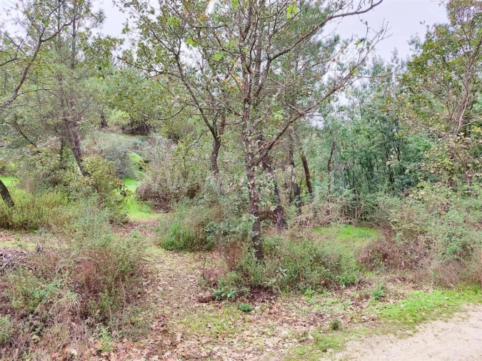 Terreno para Venda em Póvoa de Atalaia e Atalaia do Campo Foto 12