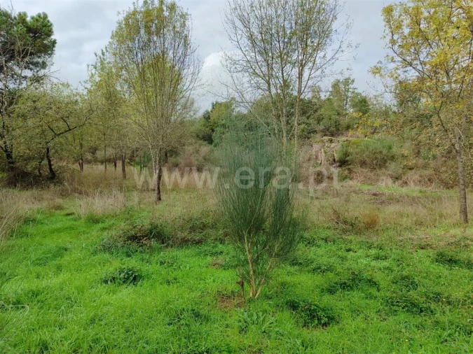 Terreno para Venda em Póvoa de Atalaia e Atalaia do Campo Foto 5