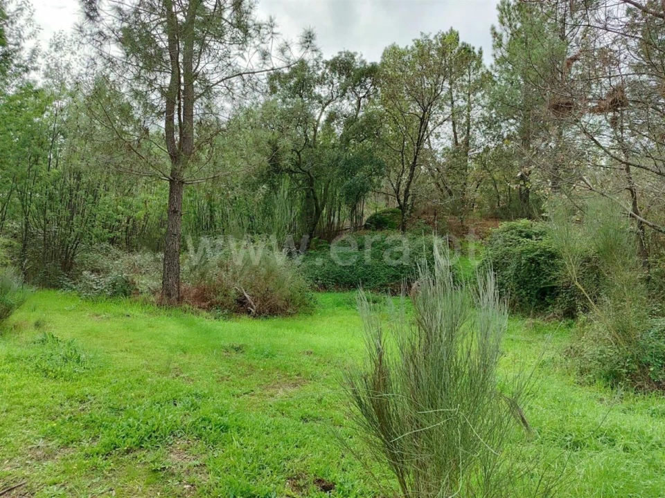Terreno para Venda em Póvoa de Atalaia e Atalaia do Campo Foto 6