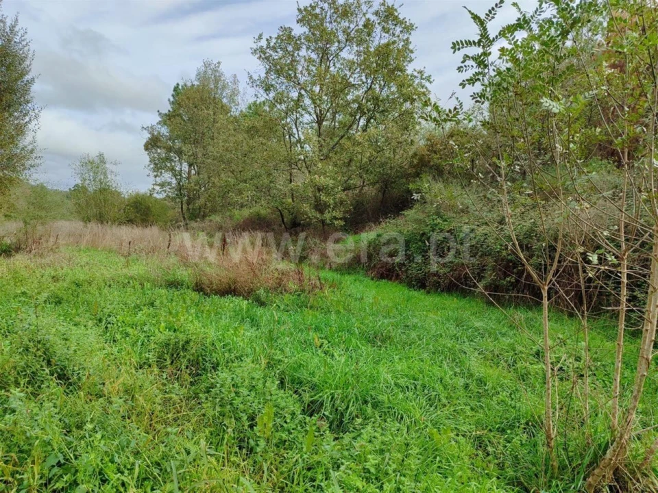 Terreno para Venda em Póvoa de Atalaia e Atalaia do Campo Foto 9