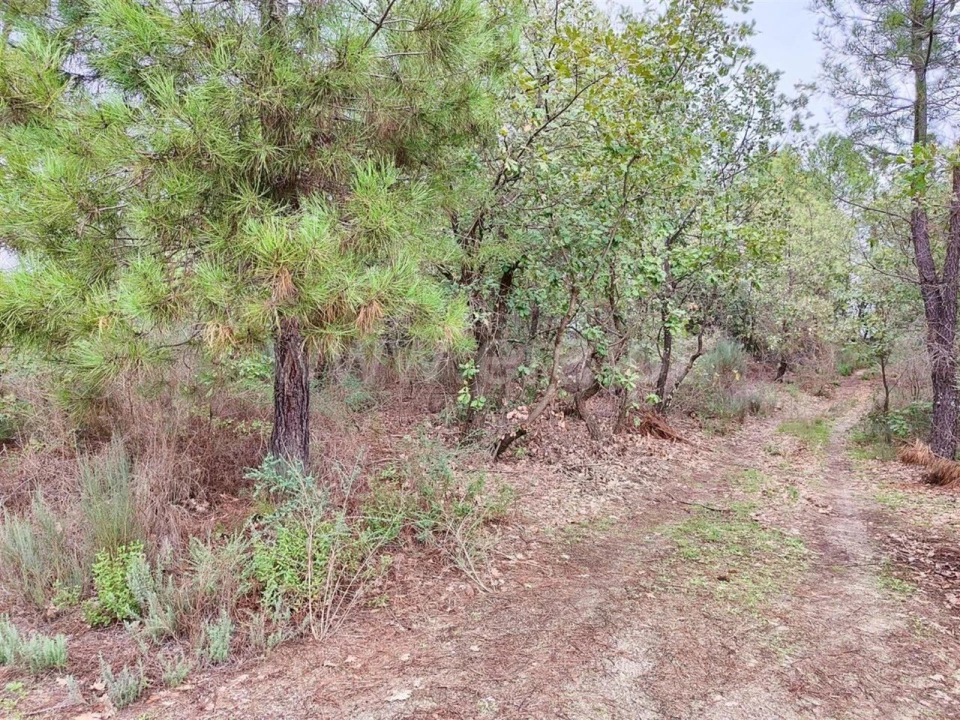 Terreno para Venda em Póvoa de Atalaia e Atalaia do Campo Foto 11