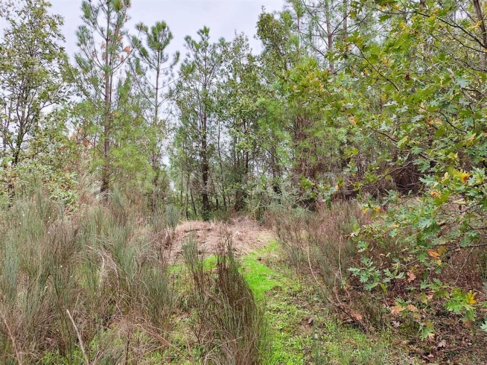 Terreno para Venda em Póvoa de Atalaia e Atalaia do Campo Foto 4