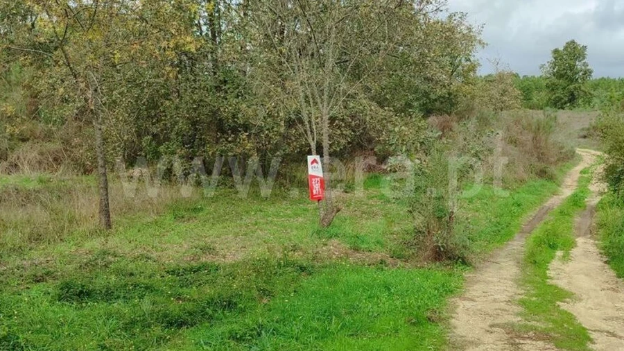 Terreno para Venda em Póvoa de Atalaia e Atalaia do Campo