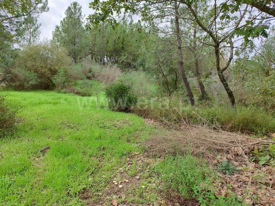 Terreno para Venda em Póvoa de Atalaia e Atalaia do Campo Foto 10