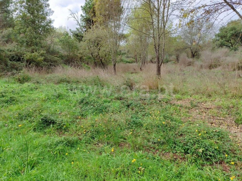 Terreno para Venda em Póvoa de Atalaia e Atalaia do Campo Foto 7