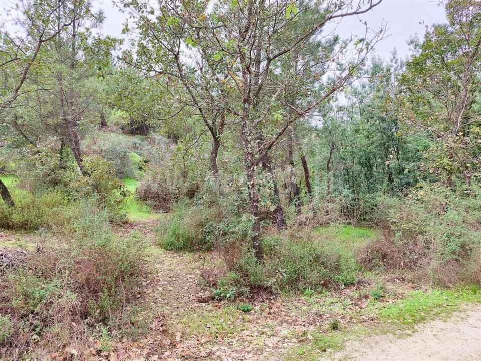 Terreno para Venda em Póvoa de Atalaia e Atalaia do Campo Foto 12