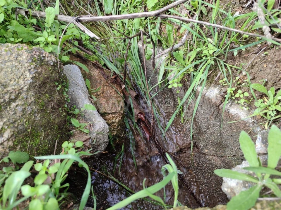 Terreno para Venda em Póvoa de Atalaia e Atalaia do Campo Foto 8