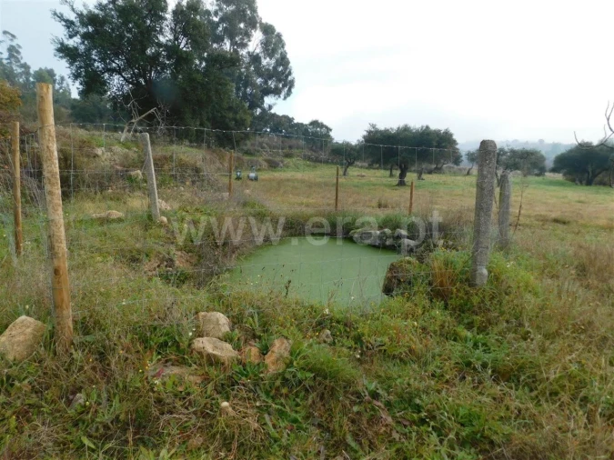 Quinta T1 para Venda em Vale de Prazeres e Mata da Rainha Foto 7