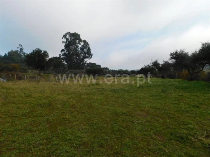 Quinta T1 para Venda em Vale de Prazeres e Mata da Rainha Foto 2