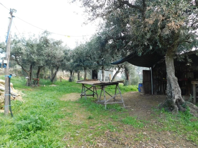 Quinta T1 para Venda em Vale de Prazeres e Mata da Rainha Foto 12