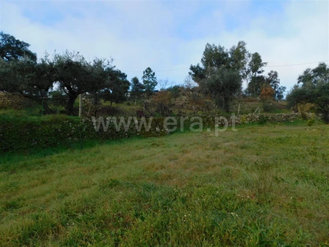 Quinta T1 para Venda em Vale de Prazeres e Mata da Rainha Foto 10