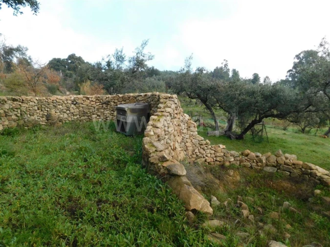 Quinta T1 para Venda em Vale de Prazeres e Mata da Rainha Foto 9