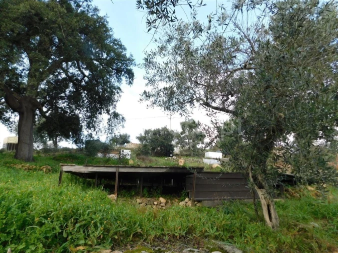 Quinta T1 para Venda em Vale de Prazeres e Mata da Rainha Foto 14