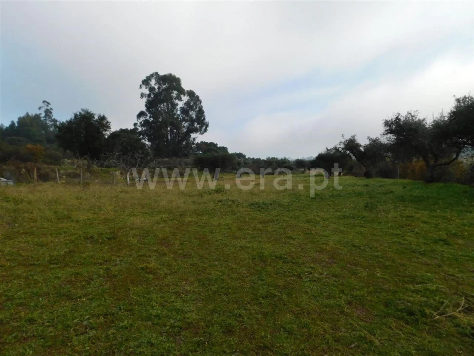 Quinta T1 para Venda em Vale de Prazeres e Mata da Rainha Foto 2