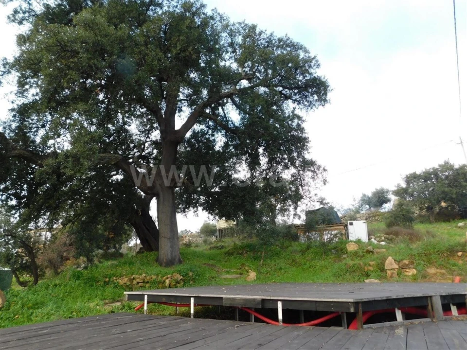 Quinta T1 para Venda em Vale de Prazeres e Mata da Rainha Foto 13