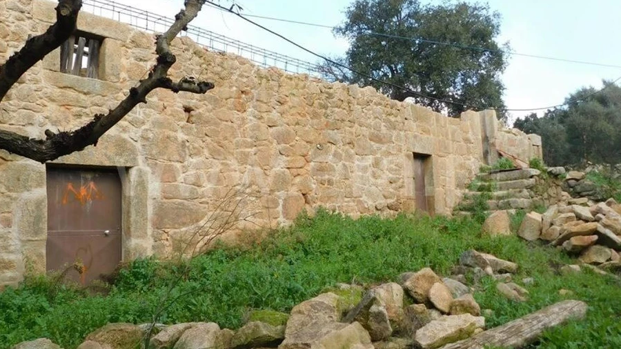 Quinta T1 para Venda em Vale de Prazeres e Mata da Rainha