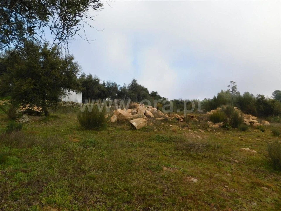 Quinta T1 para Venda em Vale de Prazeres e Mata da Rainha Foto 6