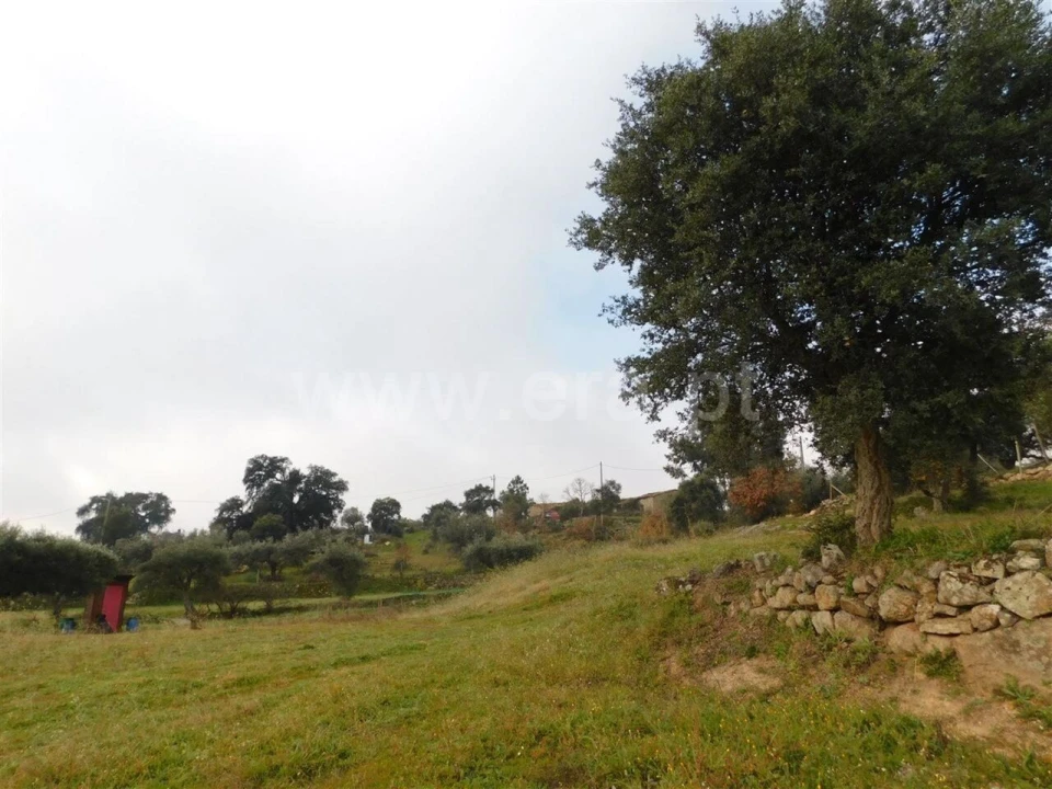 Quinta T1 para Venda em Vale de Prazeres e Mata da Rainha Foto 5