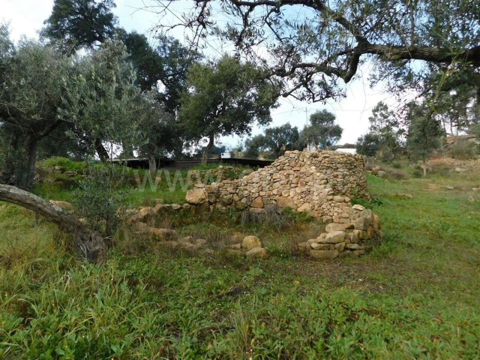 Quinta T1 para Venda em Vale de Prazeres e Mata da Rainha Foto 8