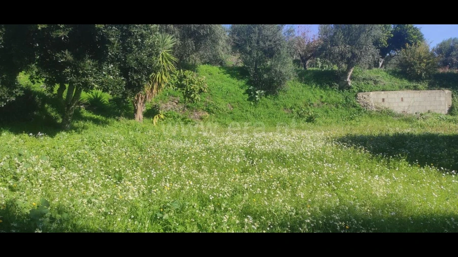 Terreno para Venda em Vale de Prazeres e Mata da Rainha