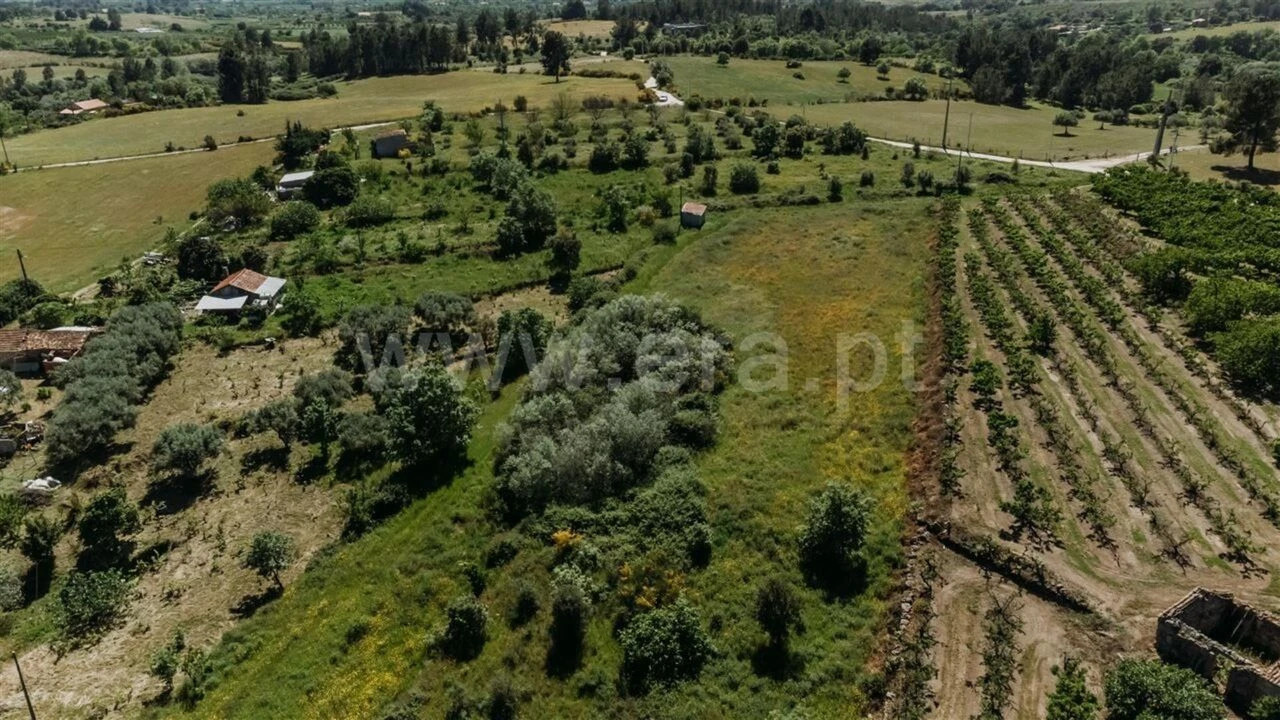 Terreno para Venda em Vale de Prazeres e Mata da Rainha Foto 3