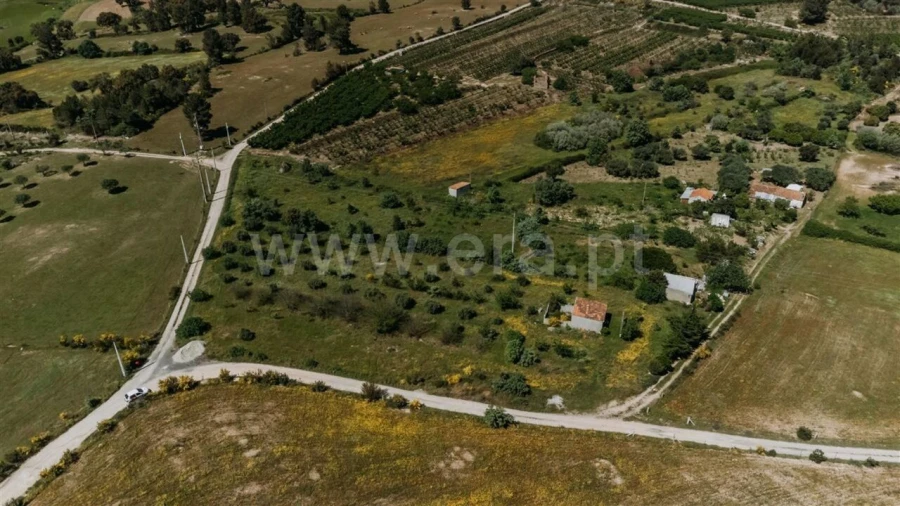 Terreno para Venda em Vale de Prazeres e Mata da Rainha Foto 2