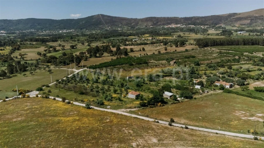 Terreno para Venda em Vale de Prazeres e Mata da Rainha Foto 5