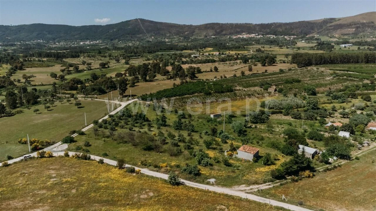 Terreno para Venda em Vale de Prazeres e Mata da Rainha Foto 4