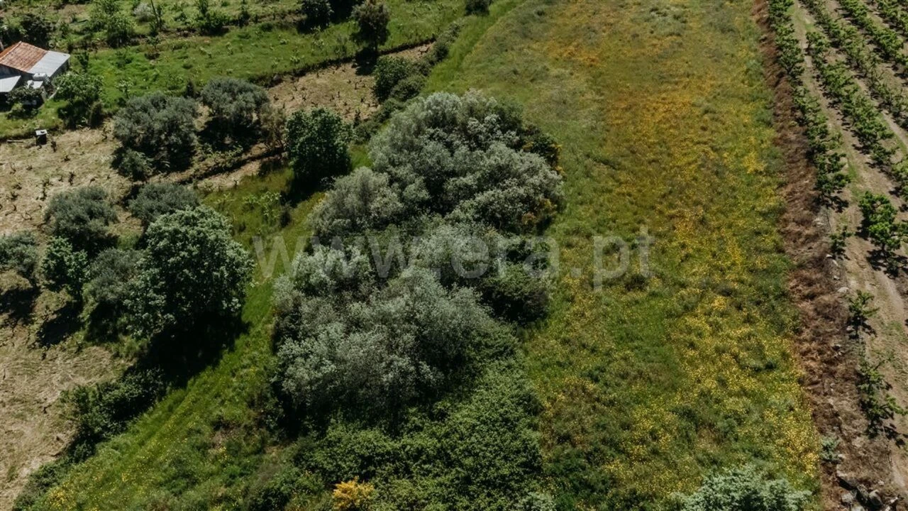 Terreno para Venda em Vale de Prazeres e Mata da Rainha Foto 6