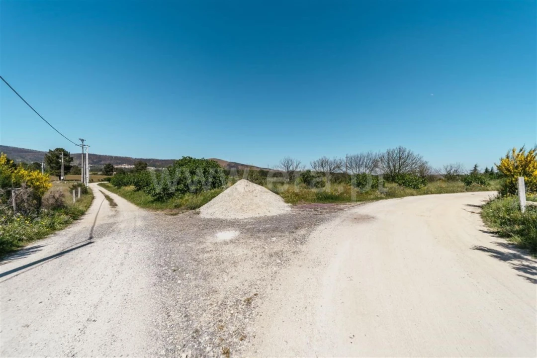Terreno para Venda em Vale de Prazeres e Mata da Rainha Foto 12