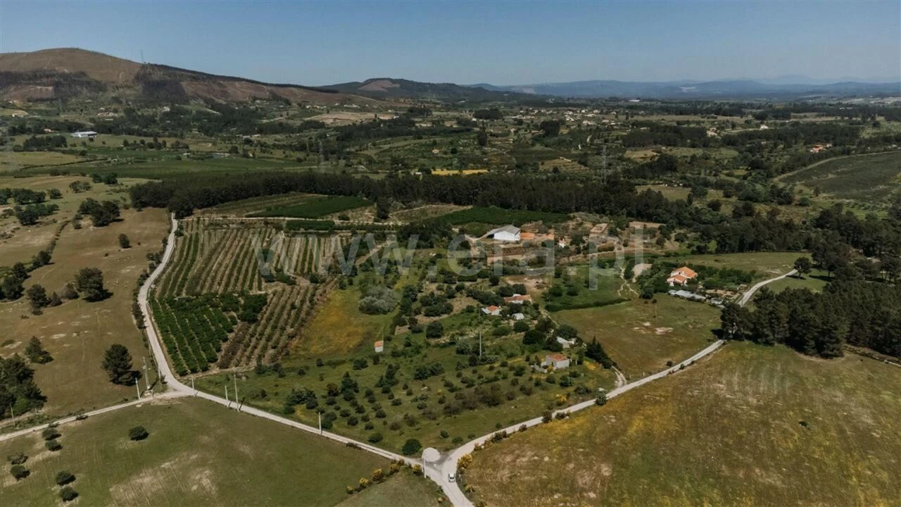 Terreno para Venda em Vale de Prazeres e Mata da Rainha Foto 14