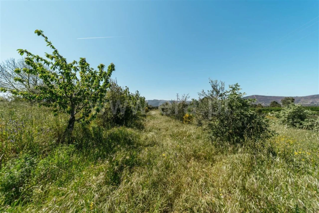 Terreno para Venda em Vale de Prazeres e Mata da Rainha Foto 10