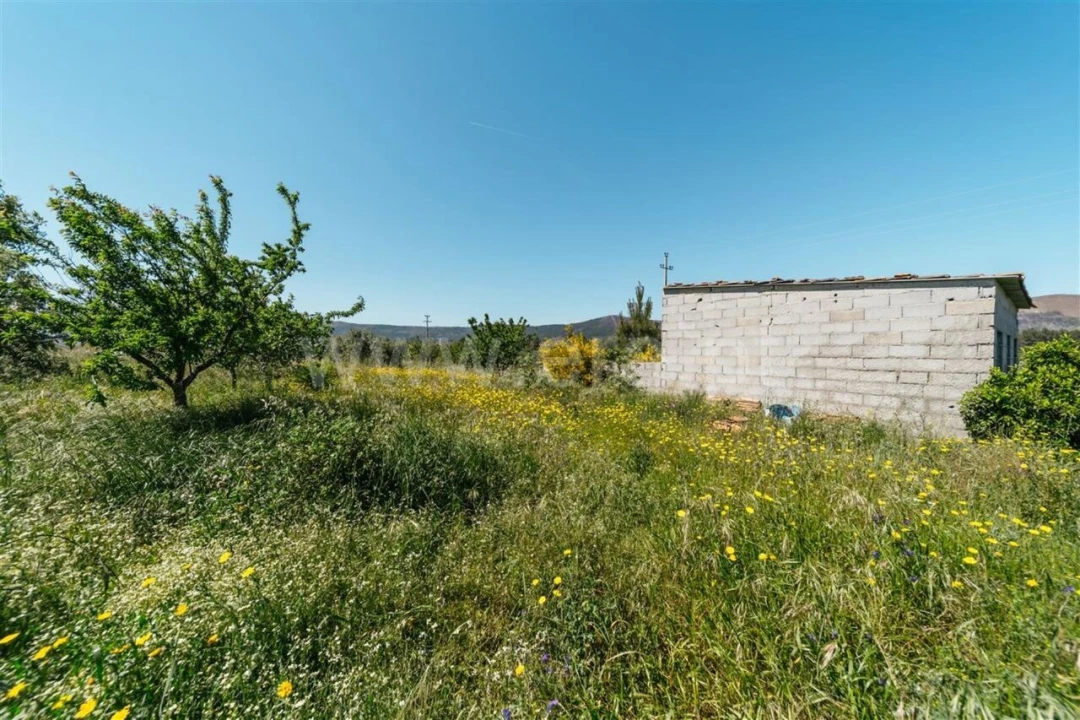 Terreno para Venda em Vale de Prazeres e Mata da Rainha Foto 8