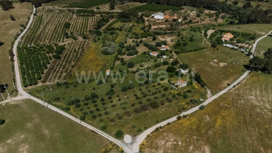 Terreno para Venda em Vale de Prazeres e Mata da Rainha