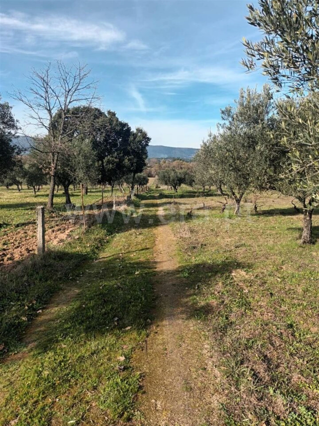 Quinta T0 para Venda em Póvoa de Atalaia e Atalaia do Campo Foto 12
