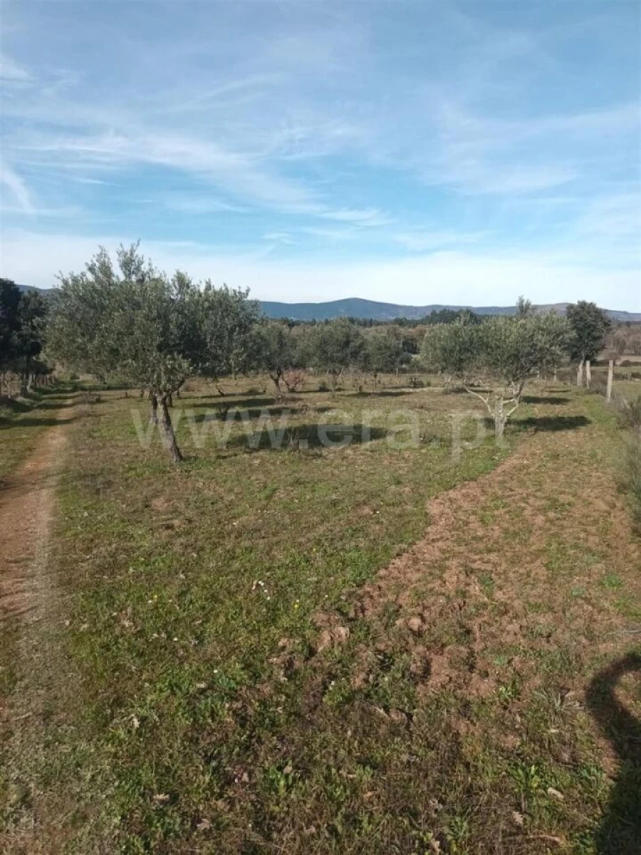 Quinta T0 para Venda em Póvoa de Atalaia e Atalaia do Campo Foto 11