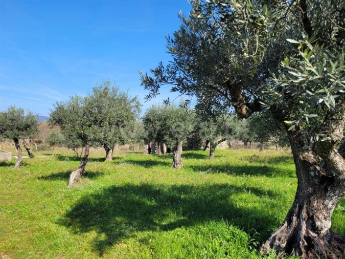 Quinta T0 para Venda em Póvoa de Atalaia e Atalaia do Campo Foto 5