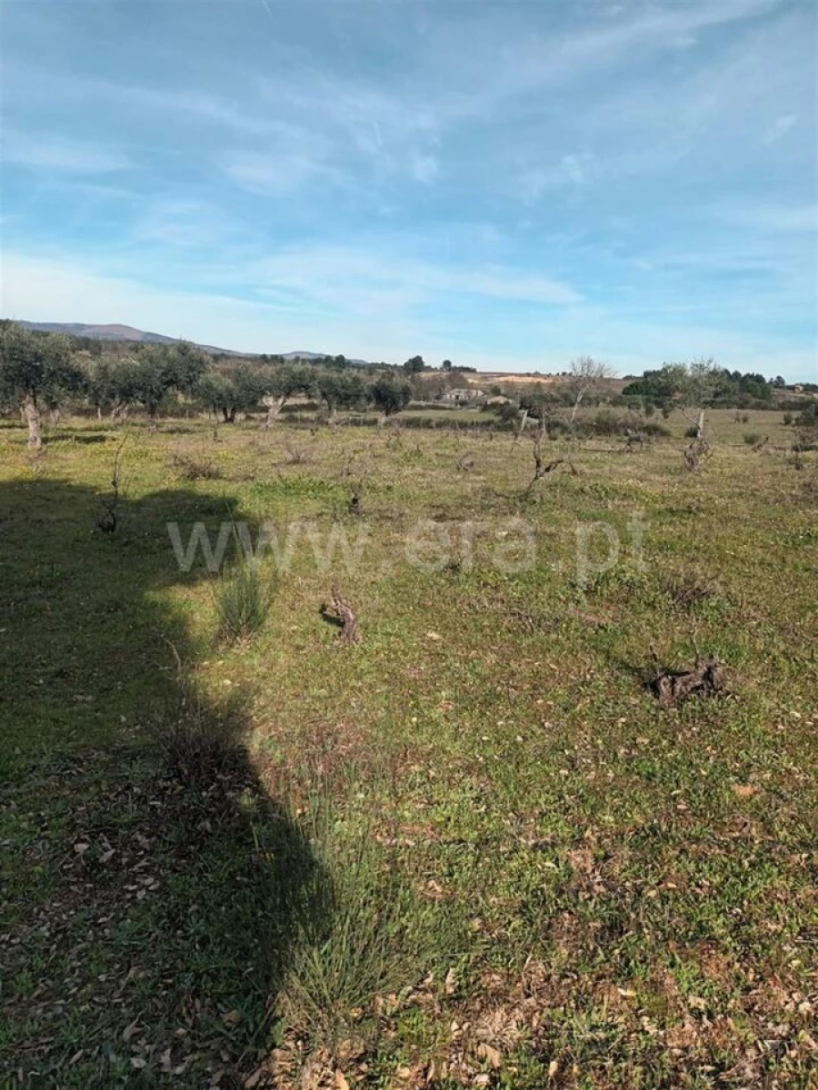 Quinta T0 para Venda em Póvoa de Atalaia e Atalaia do Campo Foto 14